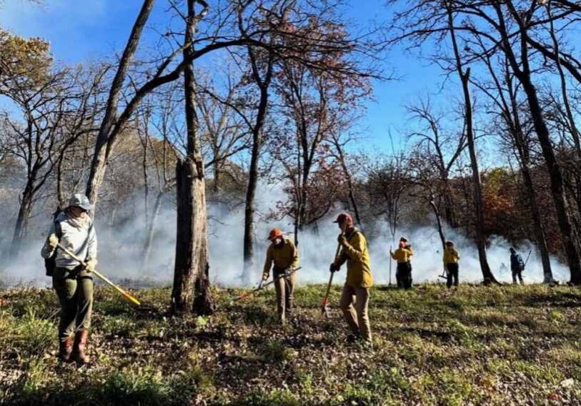 People dressed in protective fire gear, holding long handled rakes and shovels walk through a sparse woods over greenish brown vegetation. Behind them is a like of smoke and a bright blue sky.