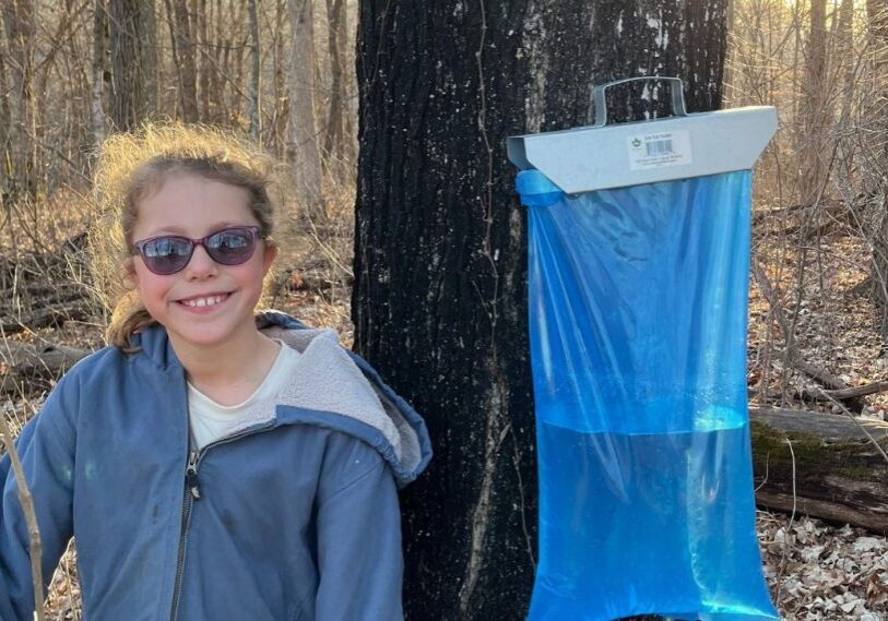 PHOTO 1 RRC Maple Syruping by Greg Schieber March 2025 A young child wearing a blue sweatshirt stand next to the trunk of a large maple tree. On the side of the tree is a silver metal bar holding a blue clear plastic bag that is half filled with clear maple sap. The sunshine peeks behind the tree and across the brown woods in early spring.