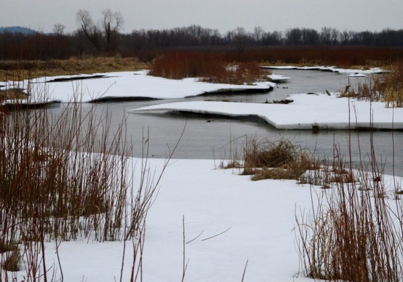 Each spring, the Mississippi River’s backwater streams gradually return to life across the Reno Bottoms south of Brownsville. (Photo by Ken Lubinski)
