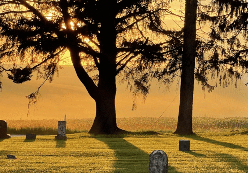 <span style="font-size: 14px; color: #6c6b6b; ">The sun rises through the trees over old gravestones at the Arendahl Cemetery (located in Arendahl Township, Fillmore County). (Photo by Renee Bergstrom)</span>