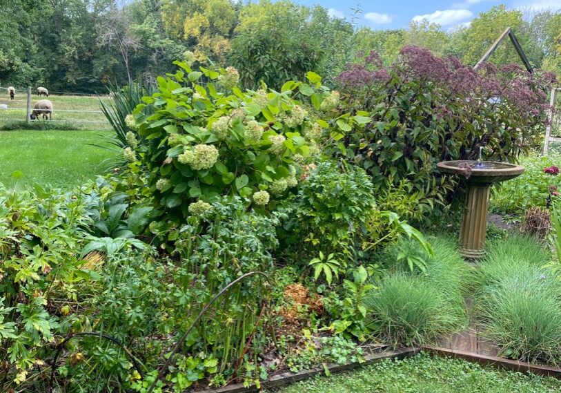 Gardening teaches us life lessons about death and life.  (All photos by Loni Kemp).