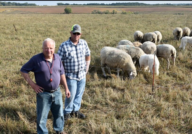 PHOTO 1Winona sheep grazing 1 (1) Tom Scarponcini, left, and Dean Thomas look over Scarponcini’s flock of Île-de-France sheep in September 2023. With technical advice from Thomas, a regional grazing specialist, and with assistance from NRCS, Scarponcini established a strip-grazing setup within 20 acres of a blufftop pasture: “We’re really here borrowing land from future generations.” (Photos by Ann Wessel, BWSR)
