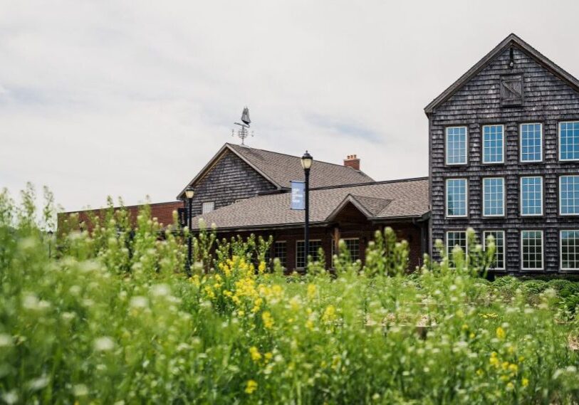 PHOTO 8 1.ExteriorMMAM In the foreground a native grass field, in the background a multi-level building with a three story wall of windows. Building is covered in weathered cedar shakes.