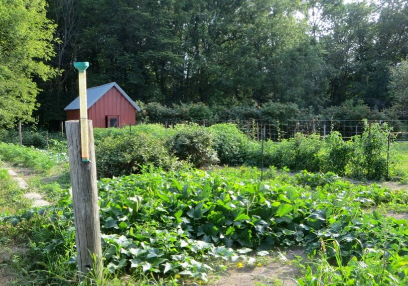 PHOTO1 garden Reclaiming the garden was one of the first projects after moving to the Big Woods. (Photo by Greg Schieber)