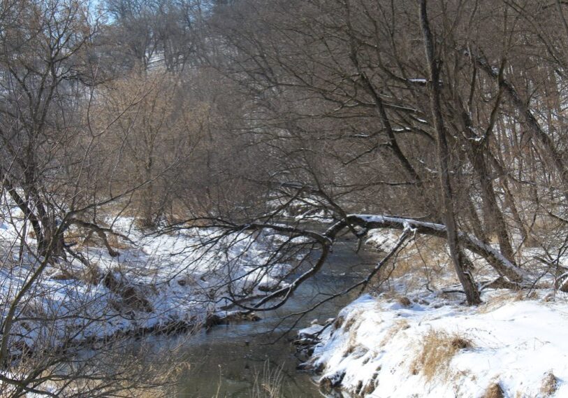 Southeast Minnesota's karst topography–and its network of sinkholes, caves and streams–exacerbate well contamination issues.
There are more than 10,000 sinkholes in Fillmore County alone. (Photo Julie Little)