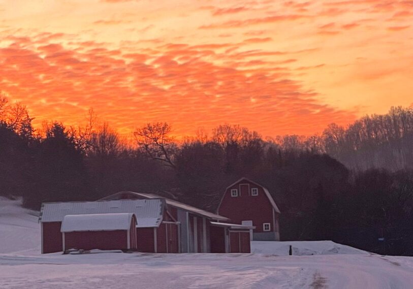 Sunrise, with its mottled pinks, blends in with the red farmstead. (Photo by Renee Bergstrom)