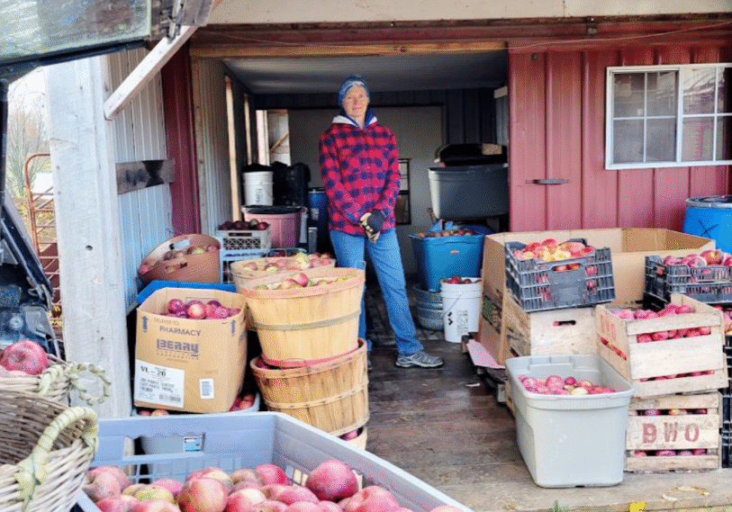 Joan Finnegan unloads apples on the loading dock.  Five families collected a range of apple varieties, including Cortland, Haralson, and Fireside, making for a complex tasty cider.   (Photo by Lori Slindee)