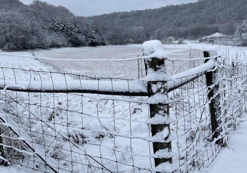 Snowfall creates beauty on ordinary structures as witnessed by this bucolic winter photo.  The sheep fence creates a vantage point from which to view the valley with its flocked trees in the distance. (Photo by Renee Bergstrom) 