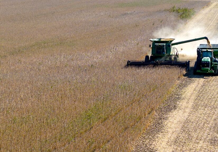 A combine harvester cuts through a field of mature soybeans while unloading grain into a tractor-pulled wagon beside it, creating a cloud of dust on a sunny day.