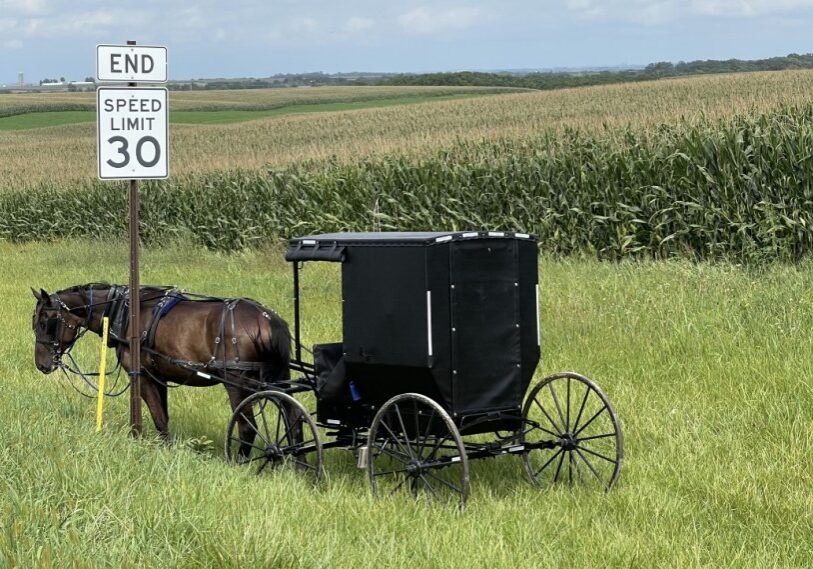 Minnesota law requires that all slow-moving vehicles display a fluorescent orange-red triangular sign.  This law was challenged on religious grounds by a group of Amish men in 1988 before the Minnesota Supreme Court. The Supreme Court ruled that the Amish could use white bars on the back of their buggies instead of the “too worldly” triangular sign. (Photo by Renee Bergstrom)
